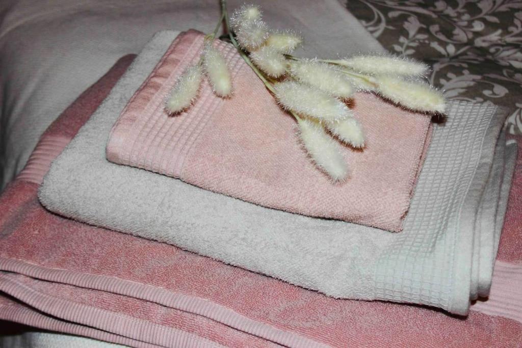 Apartamento El Picu Collanzo Exteriör bild