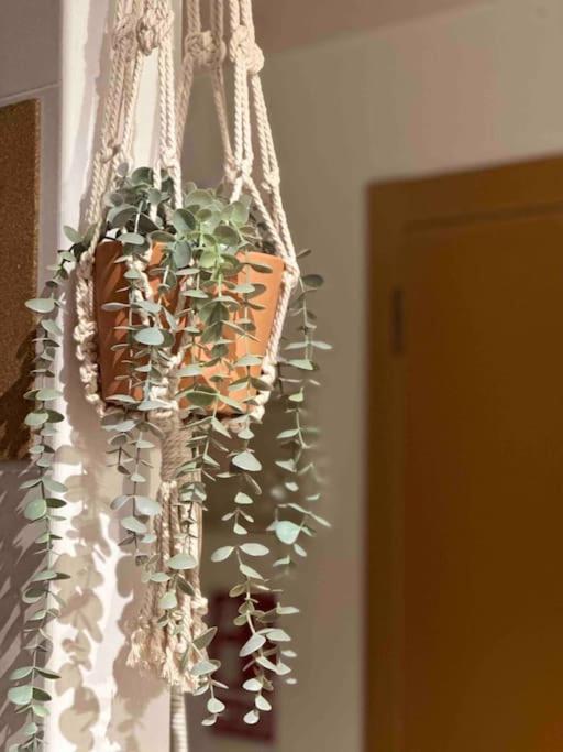 Apartamento El Picu Collanzo Exteriör bild