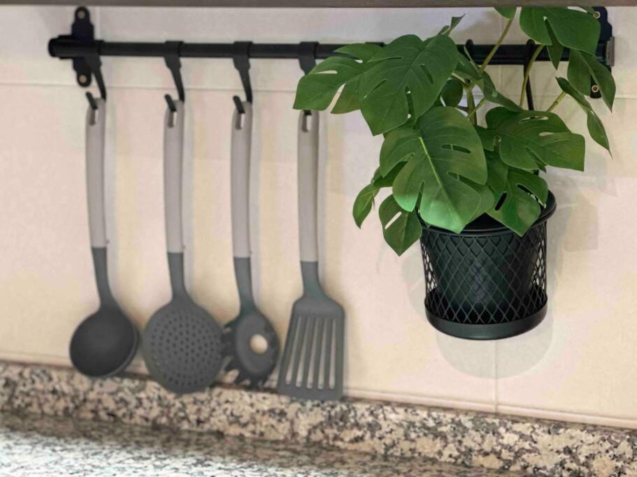 Apartamento El Picu Collanzo Exteriör bild