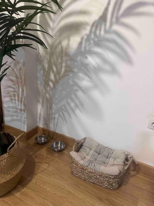 Apartamento El Picu Collanzo Exteriör bild